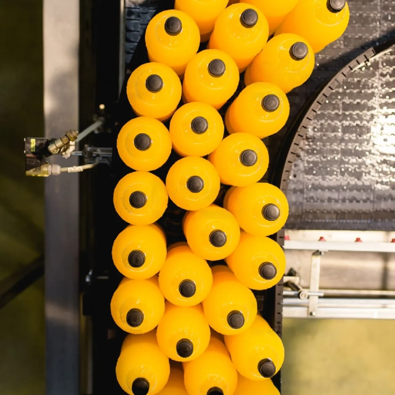 glass bottles arranged and being moved along the conveyor belt in the factory